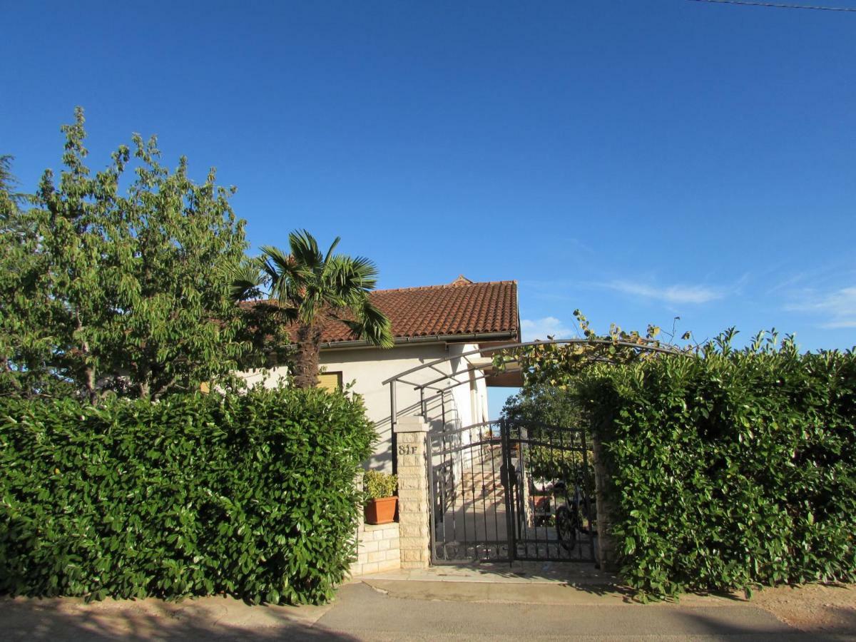 Ana Apartment